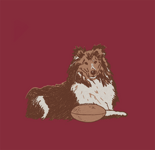 Load image into Gallery viewer, Football Collie
